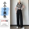 Jaqmine - High Rise Plain Wide Leg Suit Pants (Various Designs)